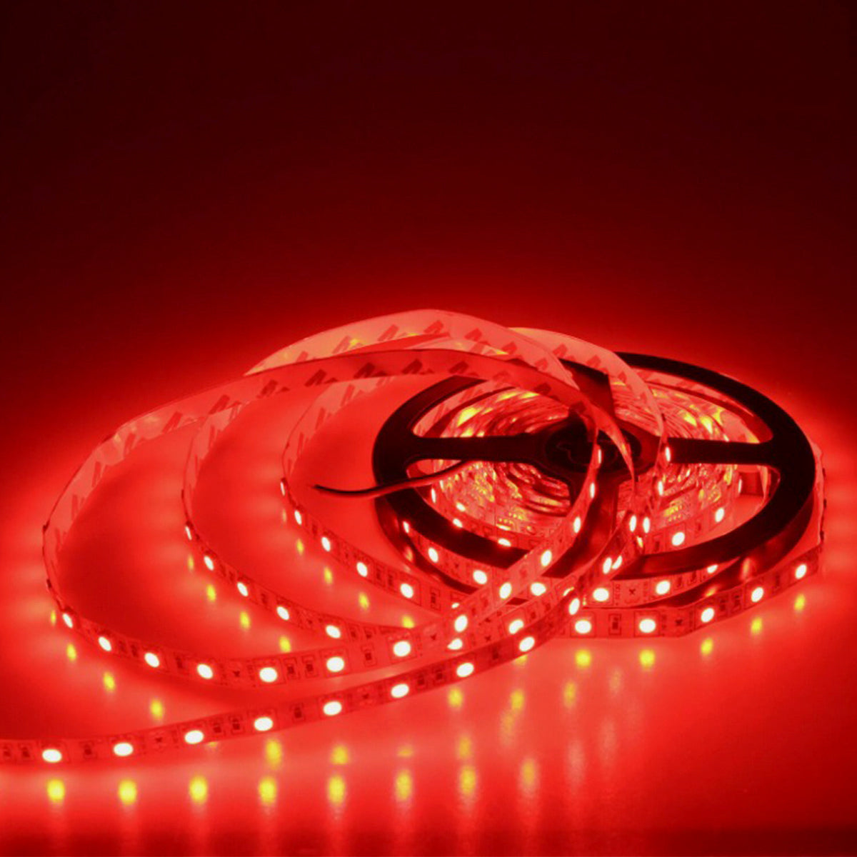 Cinta Led 5050 24V x 5 Metros - ver colores-Cintas Led 24v-Multishop Uruguay