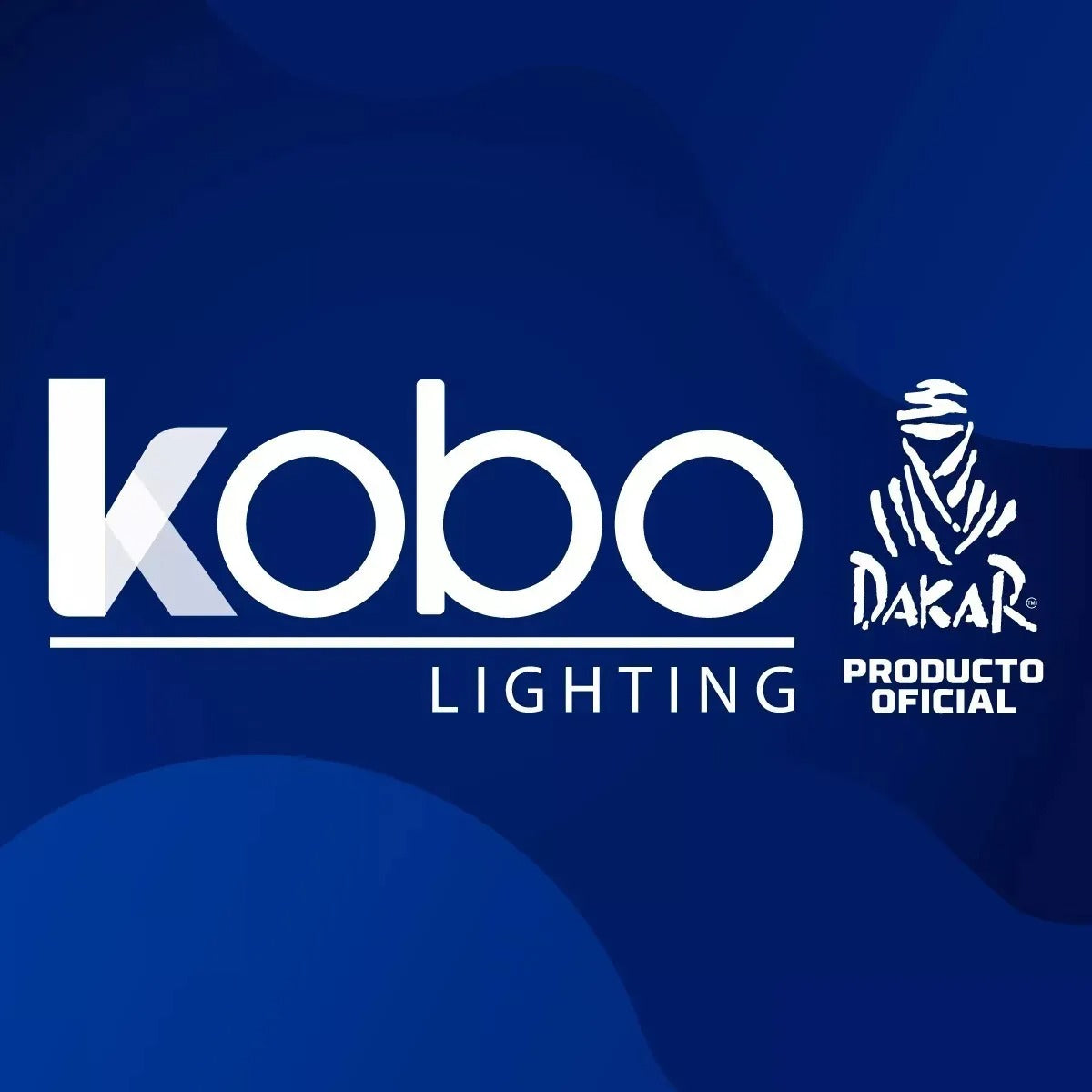 Kit Lámparas LED CREE 110W (55W) 12V H3, H4, H7, H11, 9005, 9006 Super Canbus IR100-Kit Led-Multishop Uruguay